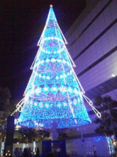 c0031794_11154139.jpg