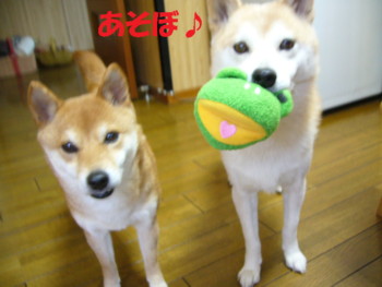 e0131506_22432187.jpg