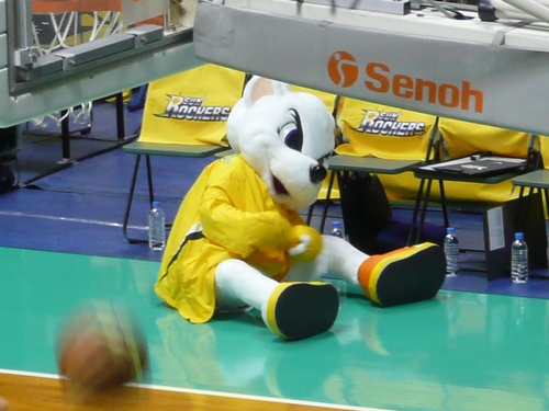 a0043512_1953032.jpg