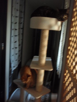 c0145016_237315.jpg