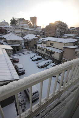 d0014524_8103950.jpg