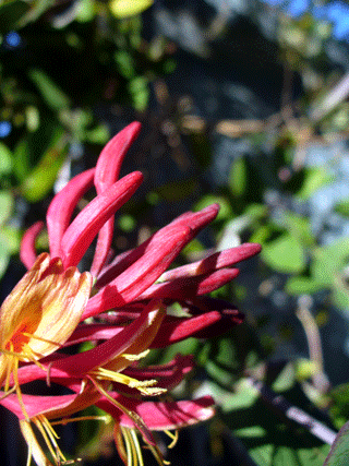 d0140329_9573961.gif