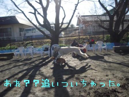 f0176830_21265957.jpg