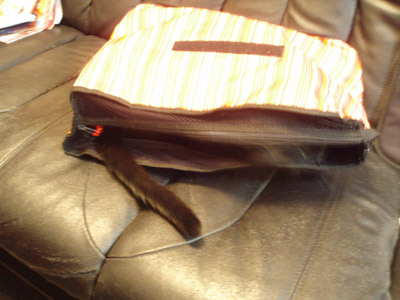 c0132438_22185919.jpg
