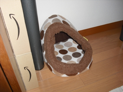 c0181639_1255363.jpg