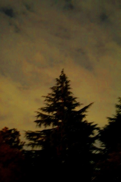 d0141239_2259782.jpg