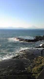 b0061344_321431.jpg