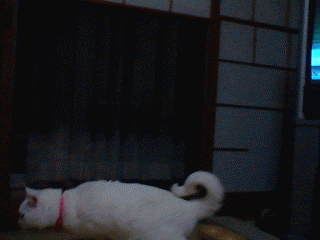b0097145_2171078.gif
