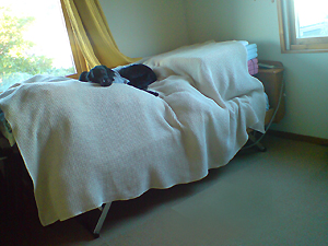 f0095047_23122119.jpg