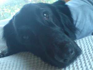 f0095047_23123732.jpg