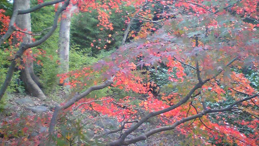 c0034850_21302440.jpg