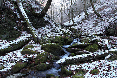 e0113053_1712432.jpg