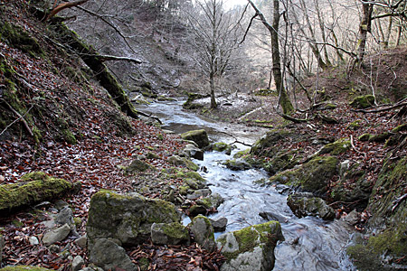 e0113053_172270.jpg