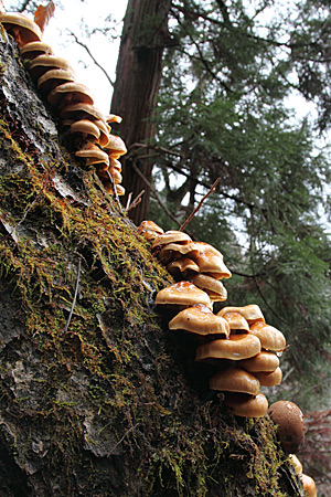 e0113053_1732226.jpg