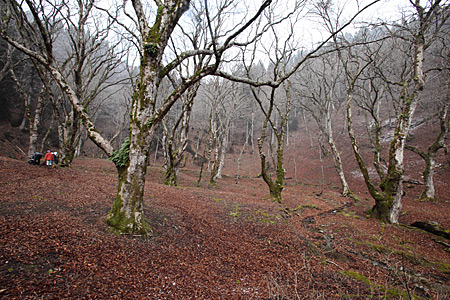 e0113053_174398.jpg