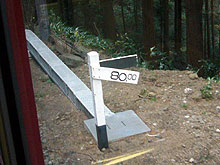 d0054855_16525461.jpg