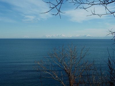 e0004756_20392083.jpg
