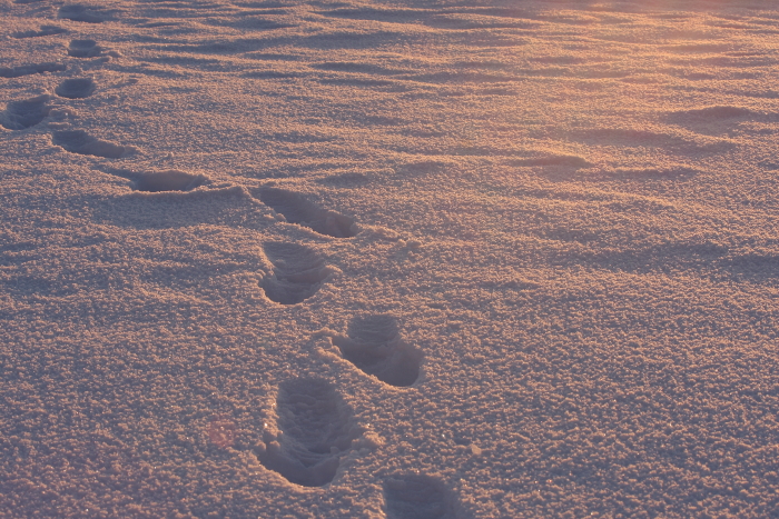 c0112158_1830114.jpg