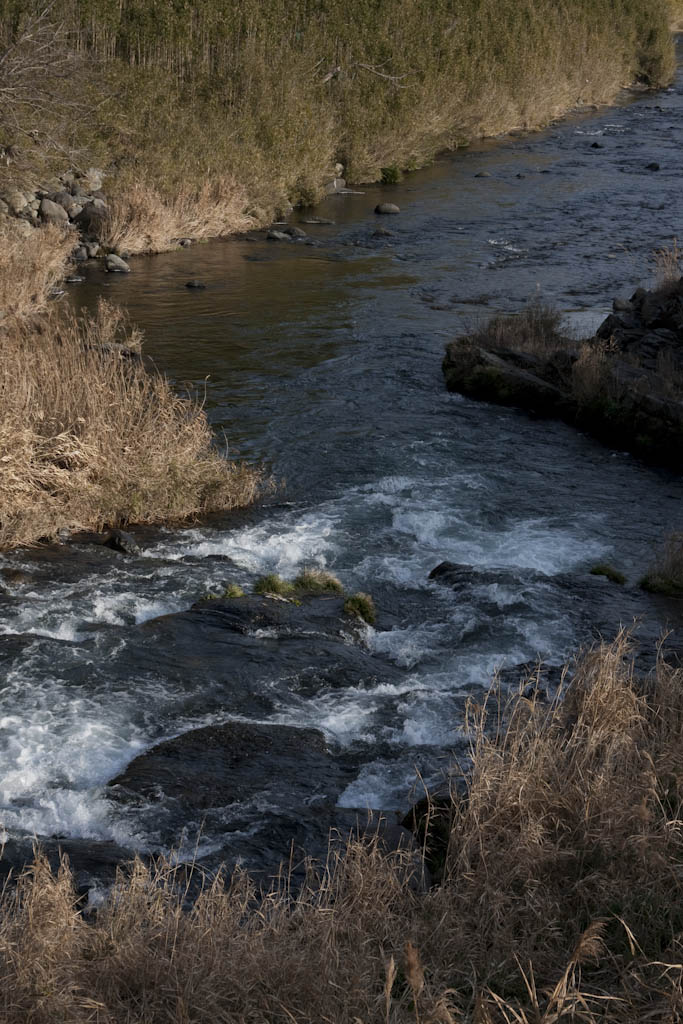 b0032262_8471218.jpg
