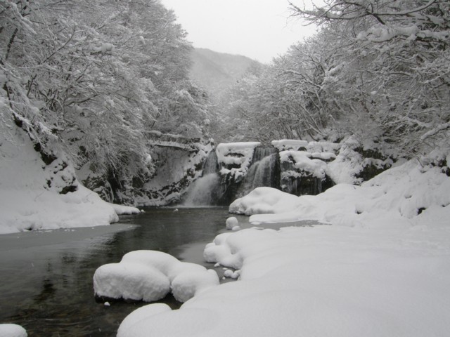 d0134473_1554527.jpg