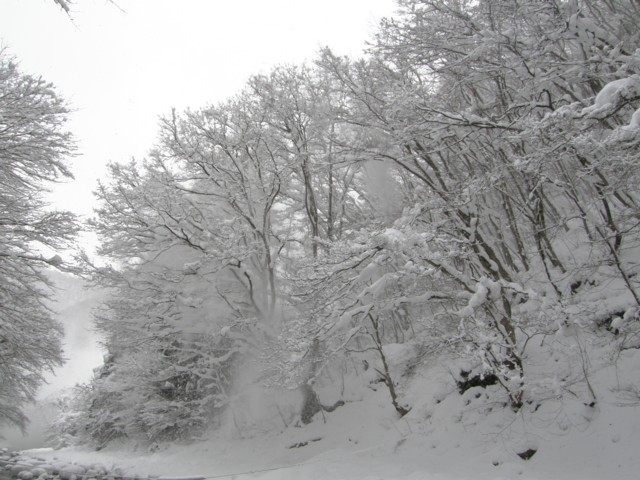 d0134473_15563493.jpg