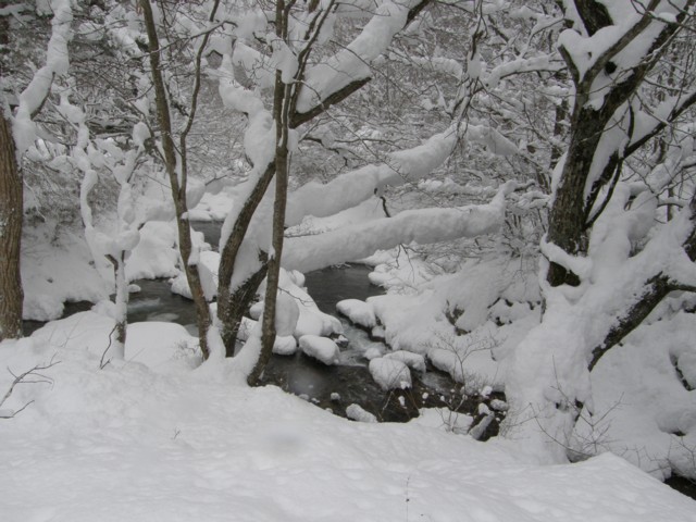 d0134473_1641412.jpg