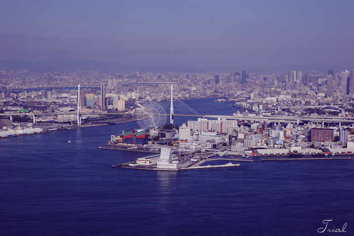 c0059485_11395838.jpg