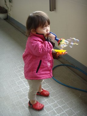 b0075888_839417.jpg
