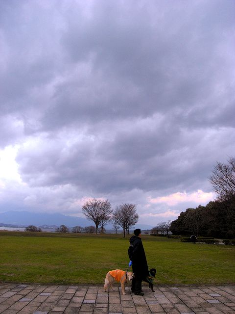 a0093592_23453744.jpg