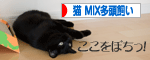 にほんブログ村 猫ブログ 猫MIX多頭飼い へ