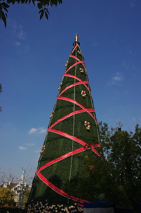 d0069495_18285957.jpg