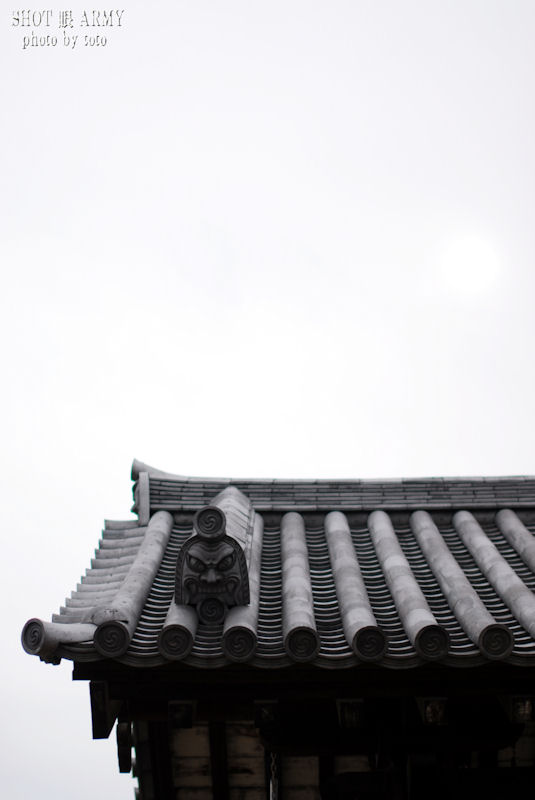 d0085501_17485271.jpg
