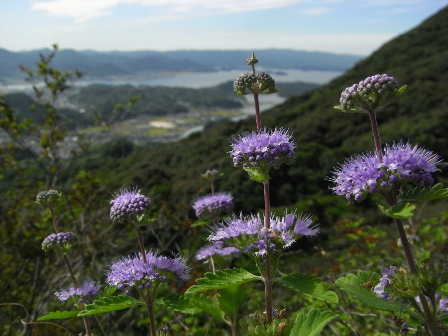 f0187402_20162421.jpg