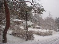 f0143504_1591291.jpg
