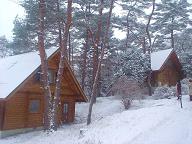 f0143504_211980.jpg