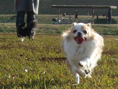 c0162005_140537.jpg