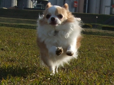 c0162005_1411182.jpg