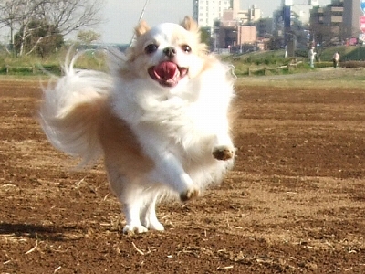 c0162005_1422121.jpg