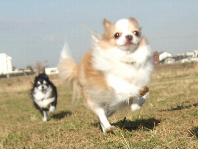 c0162005_1433697.jpg