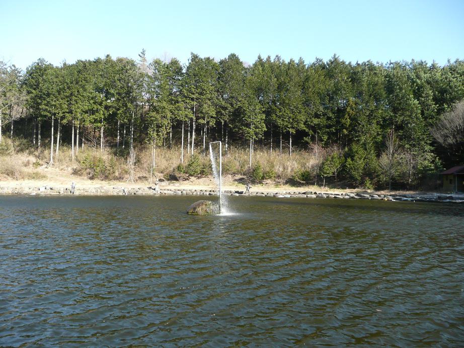 d0126708_17594997.jpg