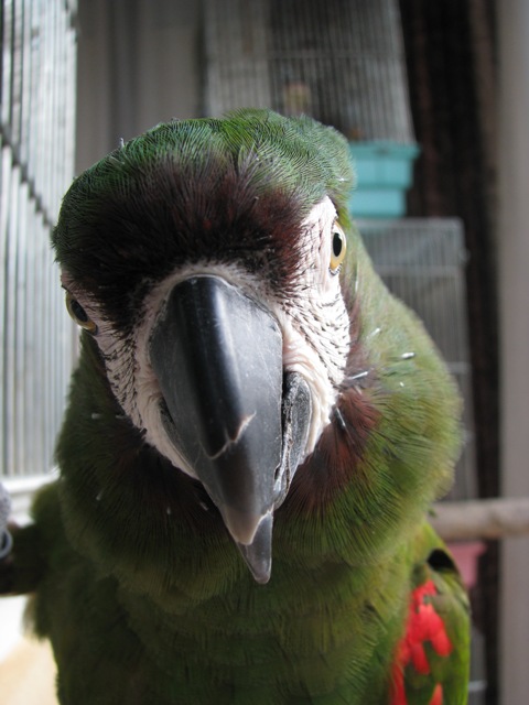 d0081210_11453027.jpg