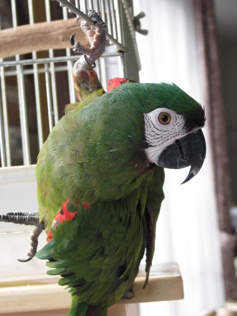 d0081210_11472295.jpg