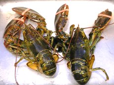 c0097611_16113383.jpg