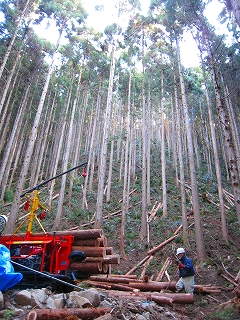 e0002820_221515.jpg