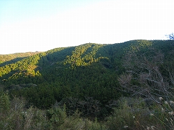 e0002820_22155826.jpg