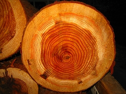 e0002820_22164217.jpg
