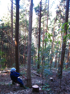 e0002820_2271085.jpg
