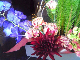 a0052621_23141226.jpg