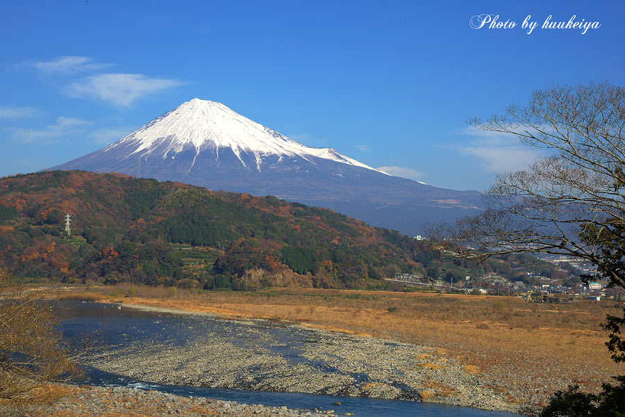 f0035323_919670.jpg