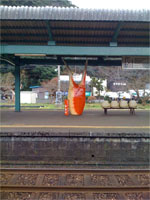 e0047928_295627.jpg